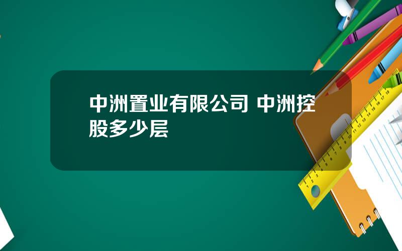 中洲置业有限公司 中洲控股多少层